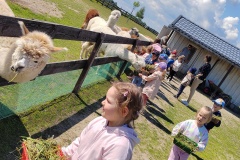 IMG_20250521_104636