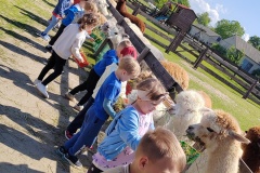 IMG_20250521_104701