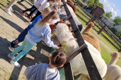 IMG_20250521_104712