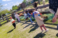 IMG_20250521_104817