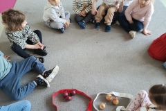 IMG_20250311_094828_016