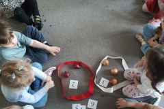 IMG_20250311_095111_891