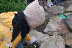 IMG_20251003_113052