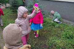 IMG_20251003_113916
